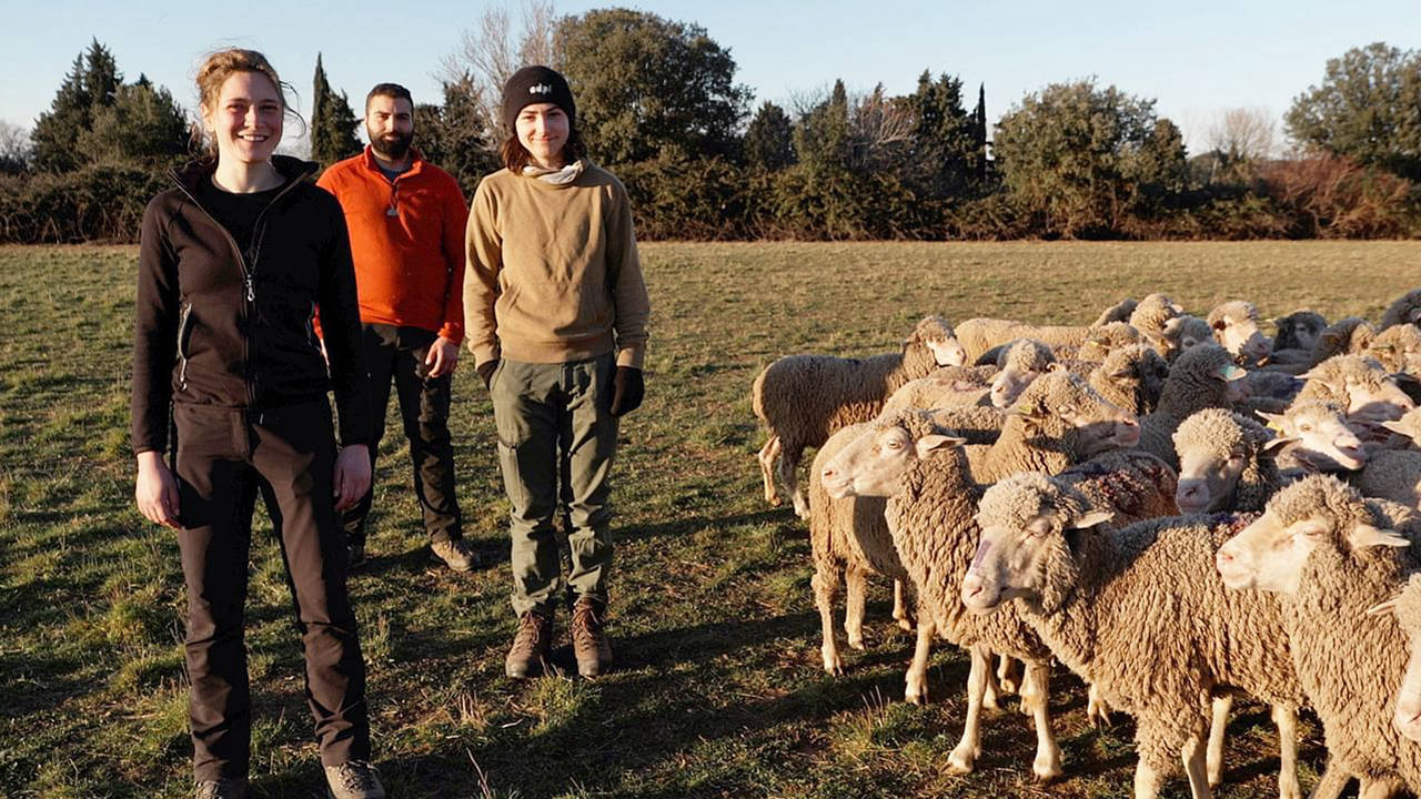 Devenir bergère : vivre parmi les moutons